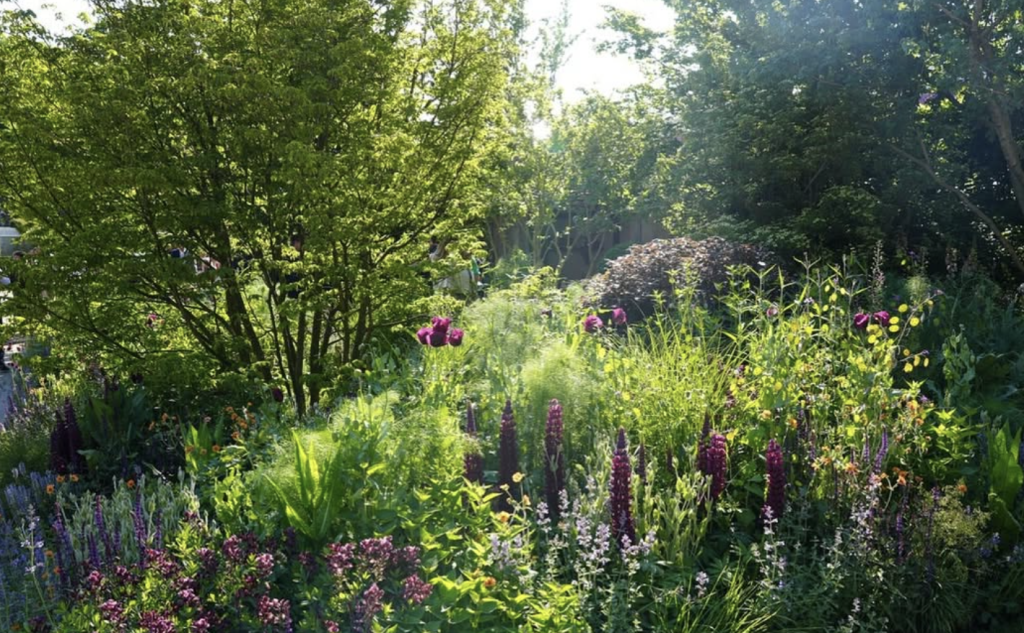 Reset Your Circadian Rhythm with a Nature Walk