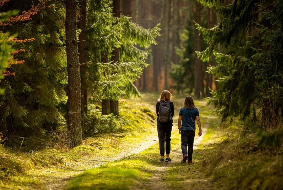 The Nature Remedy: Find Freedom from Tech Overload The Nature Remedy: Find Freedom from Tech Overload