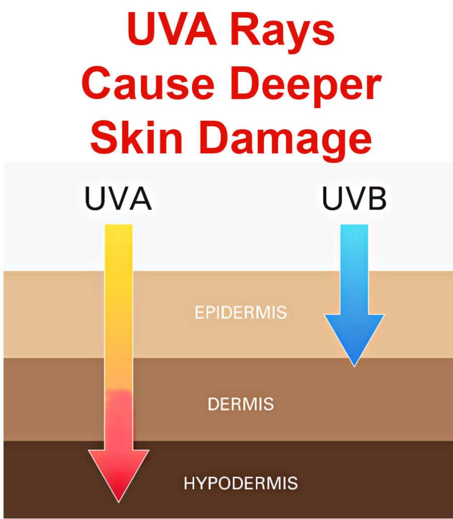 What Is PA in Sunscreen? Why It Matters for Aging Skin What Is PA in Sunscreen? Why It Matters for Aging Skin